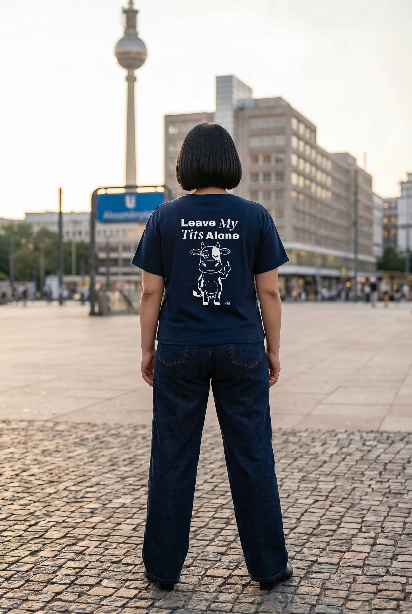 French Navy - sam back